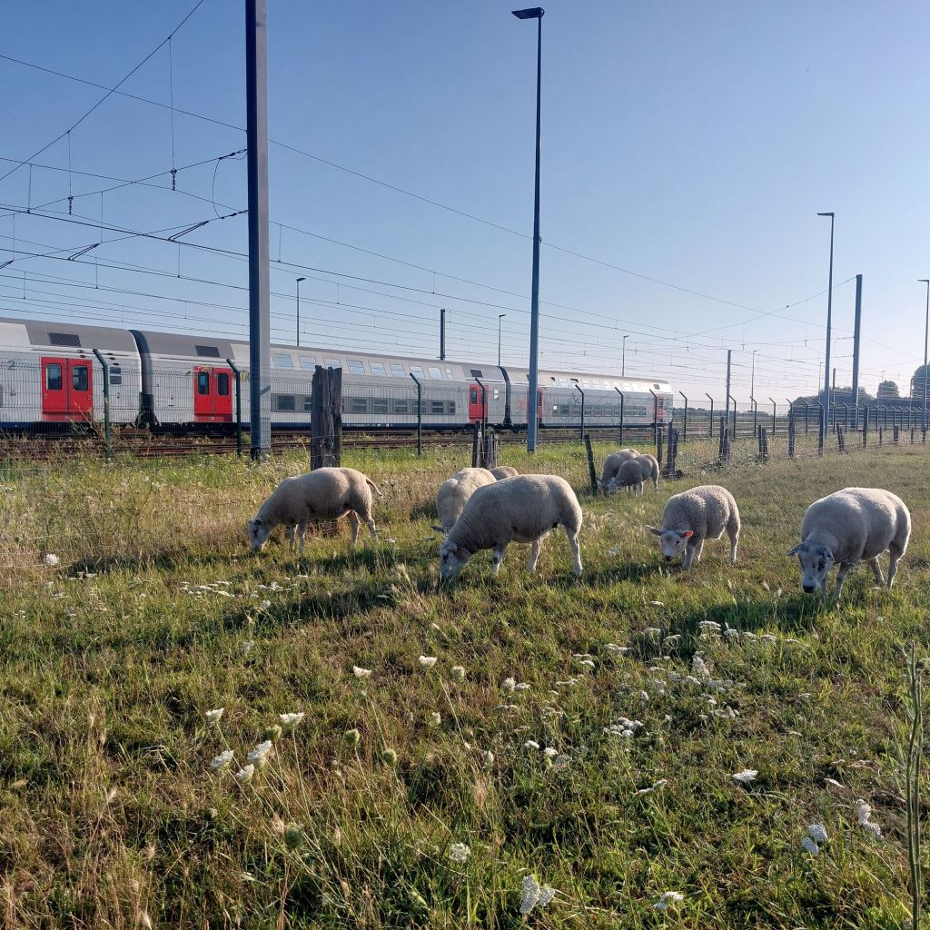 20250725_1942011446866620836818282